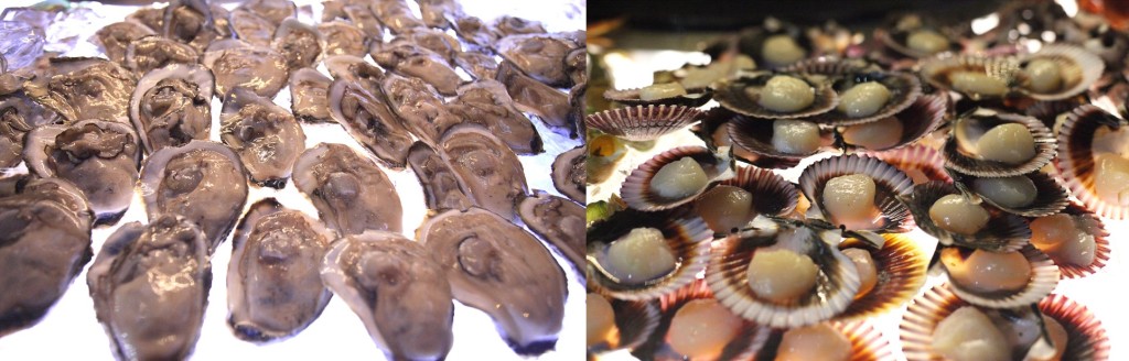 oyster-scallops